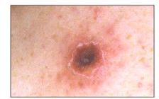 664476028df44.jpg 664476028df44.jpg