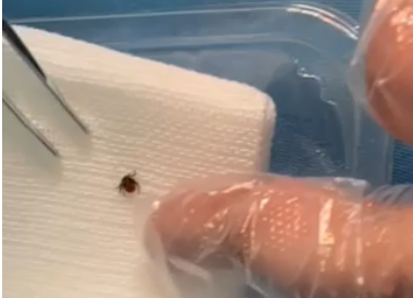 66447615c7faf.png 66447615c7faf.png