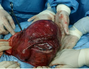 666949992739c.png 666949992739c.png